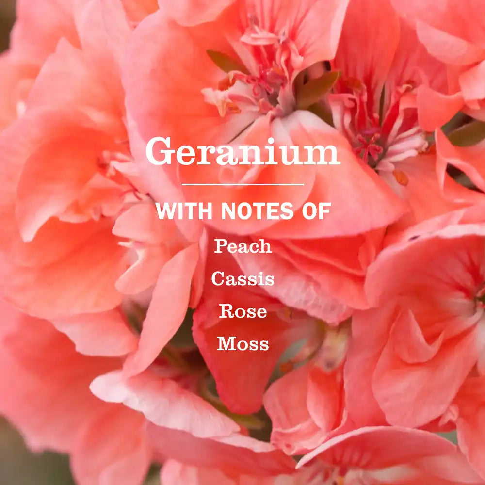 Geranium Multi-Surface Everyday Cleaner